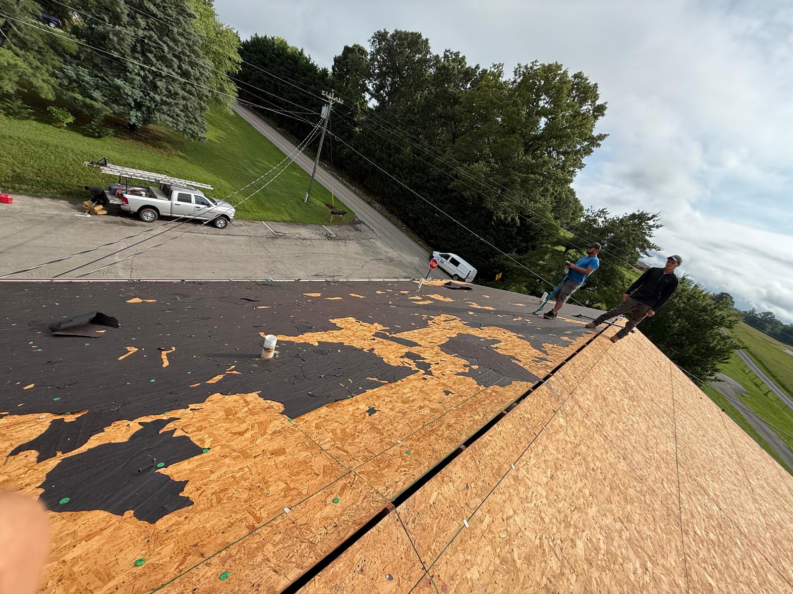 Siding Service